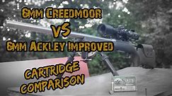 6mm Creedmoor vs 6mm Ackley Improved Cartridge Comparison