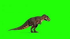 Dinosaur On Green Screen Tyrannosaurus Rex Stock Footage Video (100% Royalty-free) 1108703209 | Shutterstock