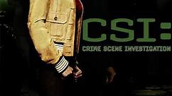 CSI: Crime Scene Investigation: Season 10 Episode 19 World's End