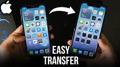 How to Transfer All Data from an Old iPhone to a New iPhone