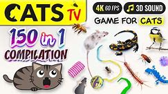 CAT TV - 150 in 1 Ultimate Compilation 🙀🐭🐝 Game for cats 🕚 10 HOURS 4K