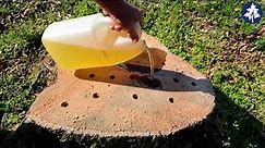 Possibly Easy Way To Remove A Tree Stump - Complete Burn