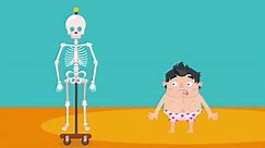 What does your skeleton do? - BBC Bitesize