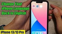 iPhone 13/13 Pro: How to Change Your iPhone Language Back to English Step by Step