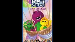 Barney's Big Surprise! Live on Stage 2000 VHS