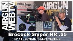 Lethal .25 Cal Pellets - Brocock Sniper HR Episode 11: Testing JSB Hades & other .25 Lethal Pellets!