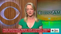 Mass shootings renew gun control debate