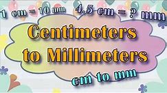cm to mm | Centimeter to Millimeter | Word Problems | Maths | Grade 3, 4 | Worksheet style Questions
