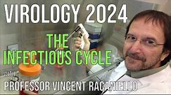 Virology Lectures 2024 #2: The Infectious Cycle