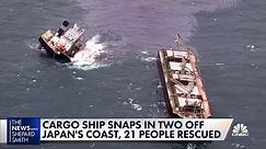 Cargo ship breaks in two off coast of Japan