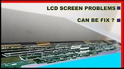 Can Your LCD Screen Be Fixed ?
