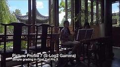 Sony Cyber-shot DSC-RX100 IV 4K video showing S-Log2 gamma by DPReview.com