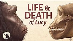 Life And Death 3,000,000 Years Ago