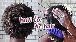 Curly Hair 101: Beginners Guide to 4C Hair