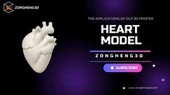 Crafting Realism: DLP Printing White Soft Rubber Heart Models