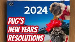 A Pug Dog’s New Years Resolutions for 2024!