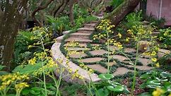 Welcome to Tangled Oaks Garden,... - Serenoa Landscape Design
