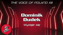 Dominik Dudek - Wydaje się (Official Audio)
