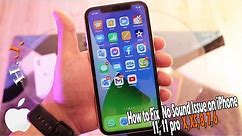 How to Fix No Sound Issue on iPhone 11, 11 pro X, XS, 8, 7, 6