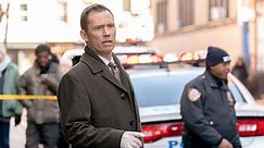 Everything to Know About Law & Order's Jeffrey Donovan