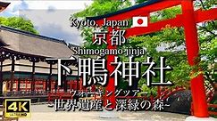 [京都|Kyoto]"下鴨神社"を観光｜世界遺産の境内と神聖な森｜"Shimogamo-jinja Shrine" Walking Tour(Vlog)[4K]