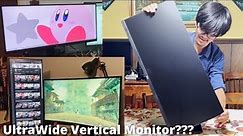LG 29" 21:9 UltraWide Monitor + VESA Mount | Unboxing, Installation, Set-Up, and Review