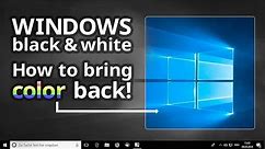 Windows screen black and white: Bring the color back!