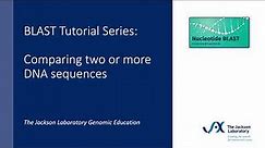 BLAST Tutorial Series: Comparing two or more DNA sequences