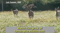 World Record Buck: Largest Whitetail EVER