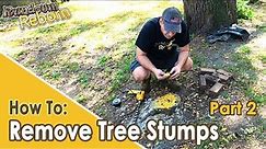 DIY: Easiest And Cheapest TREE STUMP REMOVAL - 3 Month Update!