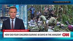 How four children survived 40 days in the Amazon jungle