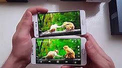 UMI Z vs Xiaomi mi5 Comparison/Camera/Sound test/Screen/Sharp vs JDI/Sony IMX298 VS Samsung S5K3L8