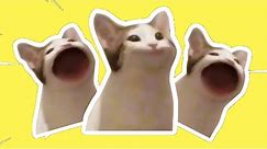 Pop Cat Meme Compilation | PopCat Best Dank Memes