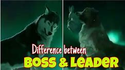 Difference between Boss and Leader | Dog video | Inspiring