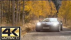 ICONIC CARS IN BEAUTIFUL SCENERY 4K - Atmospheric Music the perfect Chill Car Screensaver