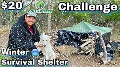 7 Day $20 Dollar Tree Survival Challenge - Day 5 - Winter Survival Shelter