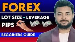 Lot Size - Leverage - Pips Explained In Forex Trading|
