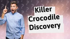 Was a 93 million year old killer crocodile discovered with a baby dinosaur in its stomach?