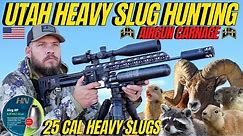UTAH HEAVY SLUG AIR GUN HUNTING I AIRGUN HUNTING WITH HN 25 CALIBRE HEAVY SLUGS AND FX IMPACT M3