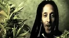 Julian Marley- "Boom Draw"
