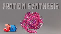 Protein Synthesis 101 (3D Animation)