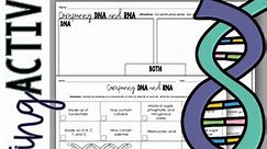 DNA and RNA Structure and Function Sorting Activity in Print and Digital