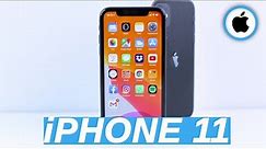 RECENSIONE iPHONE 11 (e vs iPhone XR)