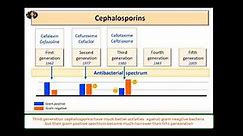 Cephalosporins Antibacterial Spectrum: five generations cephalosporins