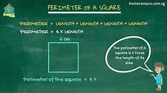 What is a Perimeter of Square and How to Calculate it?