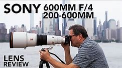 NEW Sony 600mm f/4 & 200-600mm Lenses | Image Comparison!
