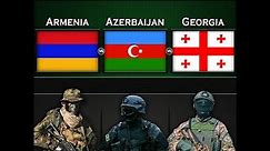 Armenia vs Azerbaijan vs Georgia | Military Power Comparison 2024 | Global Power