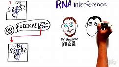 What is RNA interference (RNAi)?