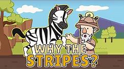 Why Do Zebras Have Stripes? | Best Learning Videos For Kids | Thinking Captain