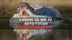 Canon 5D Mk IV - Autofocus: Part 2/4 - The 7 Focus Modes